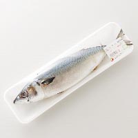 長崎県産他 生さば １尾