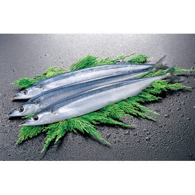 岩手県産他 生さんま １尾