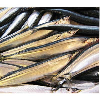 岩手県産他 生さんま ３尾入・１パック