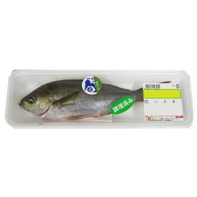 いさぎ