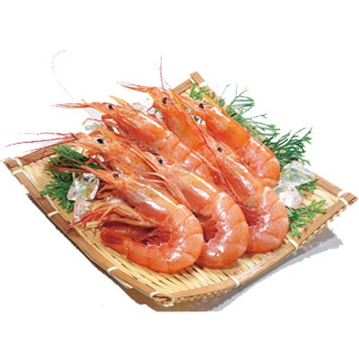 アルゼンチン産 天然有頭赤えび(解凍) ８尾入・１パック