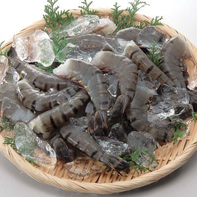 インドネシア産他 ブラックタイガーえび＜特大＞（養殖・解凍） １２尾入・１パック