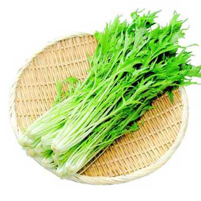 水菜