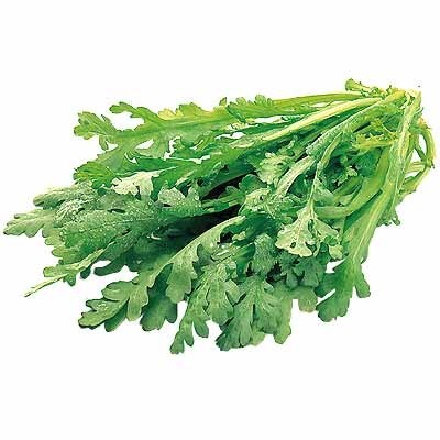 茨城県産他 春菊 １袋