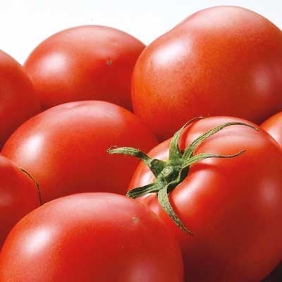 熊本県産他 トマト １個