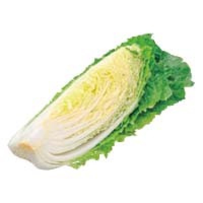 白菜
