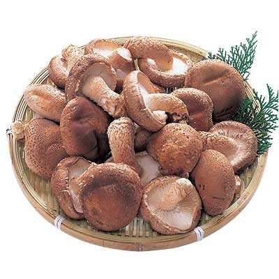 三重県産他 生椎茸（菌床栽培） １袋