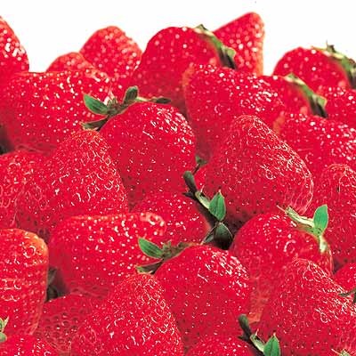 福岡県産他 あまおういちご １パック