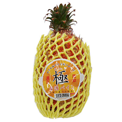 台湾産 台湾パイン（極） １本