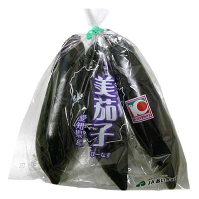 愛知県産他 なす １袋