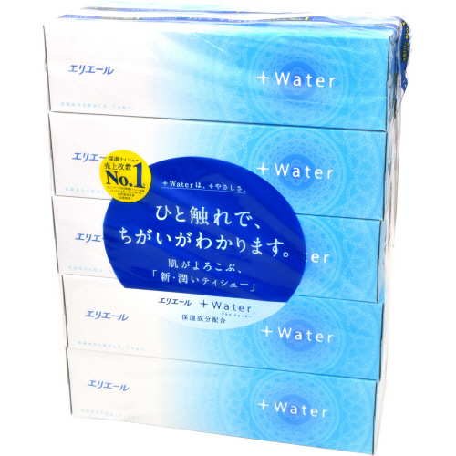 大王製紙　エリエール＋Ｗａｔｅｒ　５Ｐ ３６０枚（１８０組）