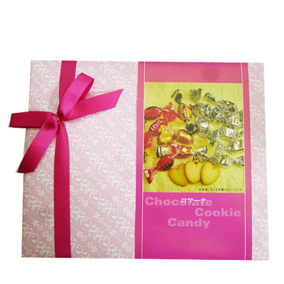 日本チョコレート 　ロマーナー（クッキ＆チョコレート） １８０ｇ