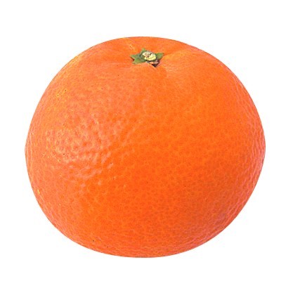 愛媛県産他 いよかん １個