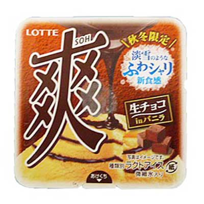 ロッテ　爽生チョコｉｎバニラ １８５ｍｌ
