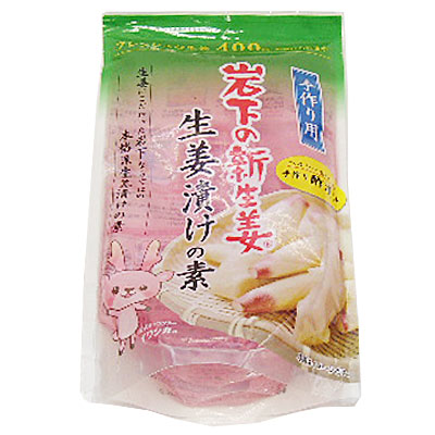 岩下の新生姜 生姜漬けの素 ４００ｍｌ