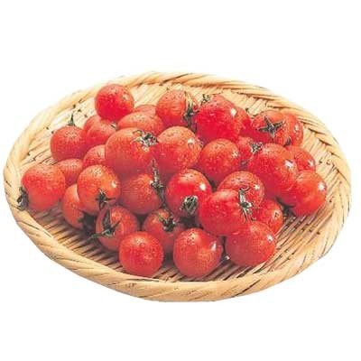 特別栽培ミニトマト