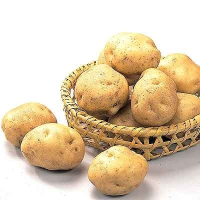 北海道産 ＪＡきたみらいのＥＣＯゆめいころ １袋